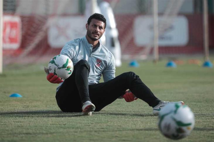 محمد الشناوي